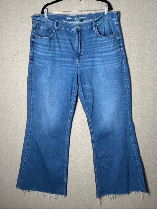 American Eagle Outfitters Denim - American Eagle Low‎ Rise Baggy Flare Jeans Womens 18R  Raw Hem Whiskered Denim